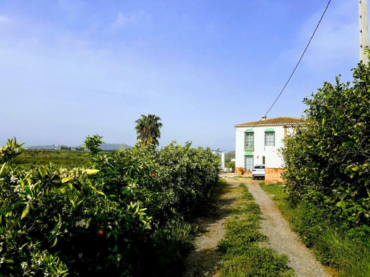 بيزارا Casa Rural La Estrella المظهر الخارجي الصورة