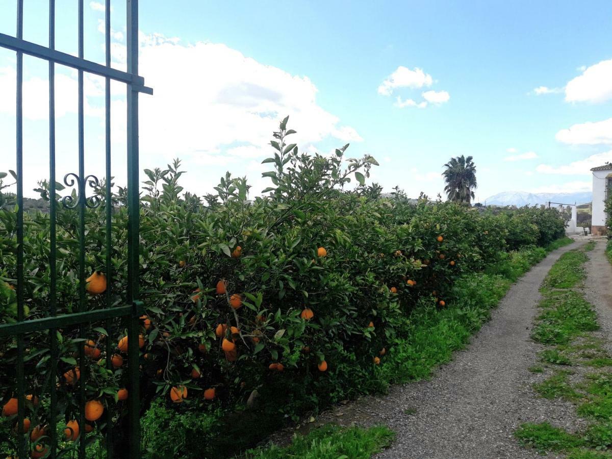 بيزارا Casa Rural La Estrella المظهر الخارجي الصورة