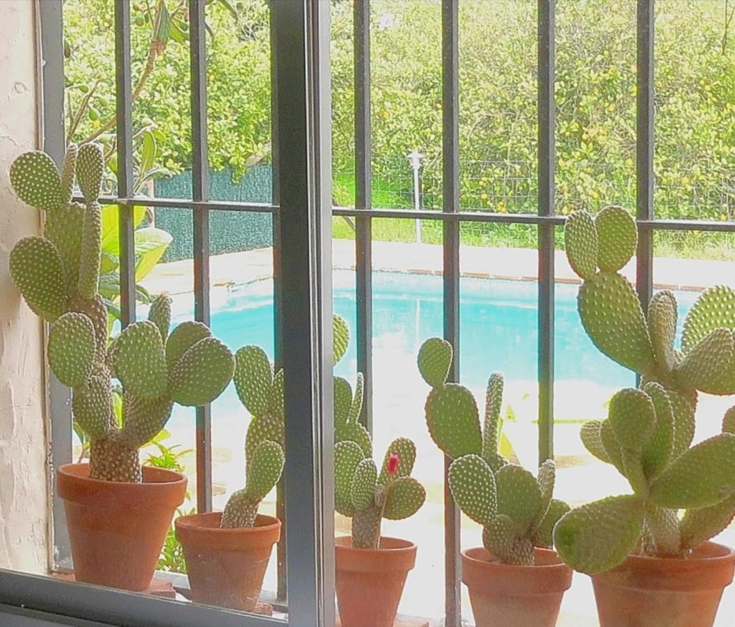 بيزارا Casa Rural La Estrella المظهر الخارجي الصورة